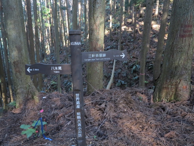 熊野古道